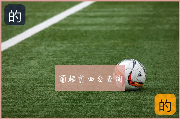 葡超首回合查询